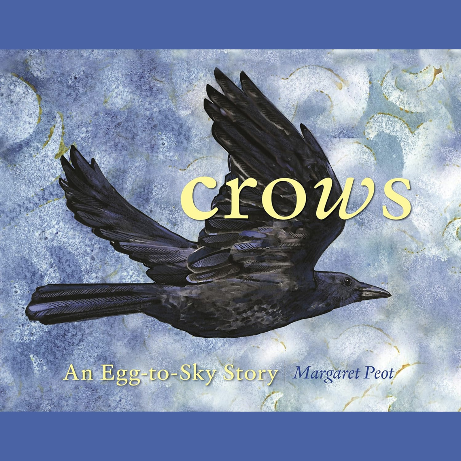 Crows: An Egg-to-Sky Story